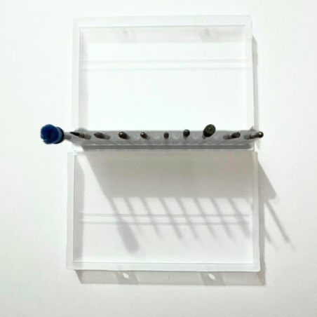 Set 10 Punte Fresa Cuticole Professionali